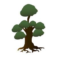 icono aislado de la naturaleza de la planta del árbol vector