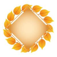 autumn square frame with leafs decoration vector