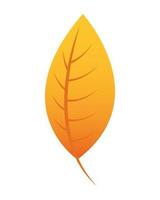 autumn leaf foliage seasonal icon vector