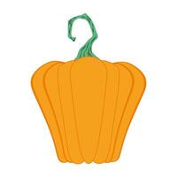 halloween pumpkin fruit seasonal icon vector