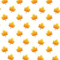 autumn leafs foliage seasonal pattern vector