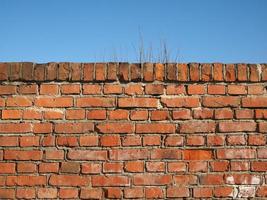 red brick wall background photo