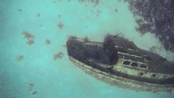 Erkundung unter Wasser in San Andrés Kolumbien video