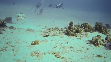 exploração subaquática em san andres colombia video