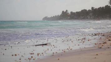 plage de l'île de san andres video