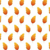 autumn leafs foliage seasonal pattern vector