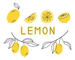 Set of fresh lemon fruits with leaves. Vector illustration isolated on a white background.