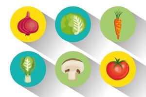 conjunto de verduras frescas y saludables vector