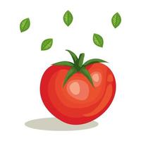 tomate vegetal fresco con hojas vector