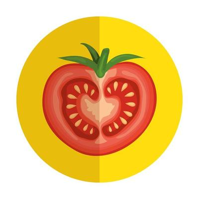 fresh tomato vegetable in frame circular