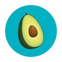 fresh avocado vegetable in frame circular vector