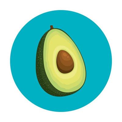 fresh avocado vegetable in frame circular