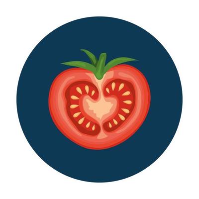 fresh tomato vegetable in frame circular