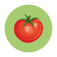 tomate fresco vegetal en marco circular vector