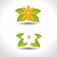 cute flowers with leafs nature vector