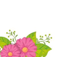cute flowers with leafs isolated icon vector