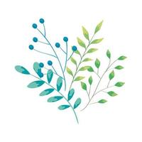 branches with leafs nature ecology isolated icon vector