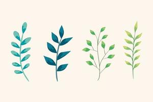 set of branches with leafs nature vector