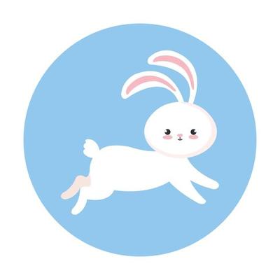 cute rabbit animal in frame circular