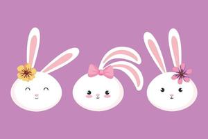 faces of cute rabbits animals vector