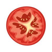 fresh slice of tomato vector