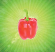 Colored Fresh Sweet Pepper Vector Isolated on White Background.