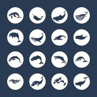 set silhouette of whales vector