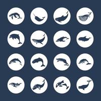 set silhouette of whales vector