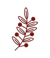 foliage and berries vector