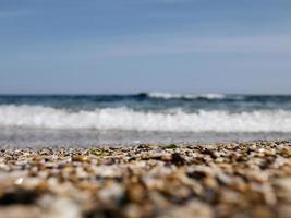 guijarros de mar y conchas foto