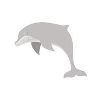 dolphin underwater life vector