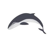 whale sea nature vector