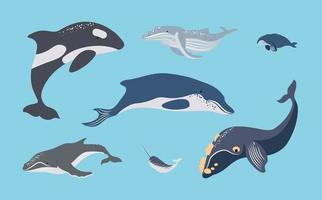 set various whales vector