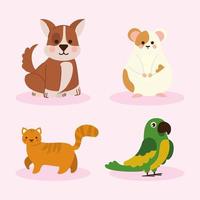 mascotas animales dibujos animados vector