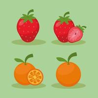 set of fruits vector