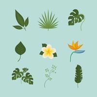 leaves and flowers vector