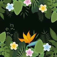 jungle leaves and flowers vector
