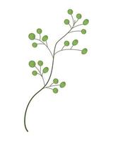 branch foliage icon vector
