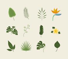 icons leaves and flower vector