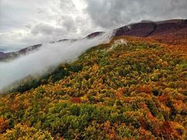 forest in autumn in abruzzo, italy photo