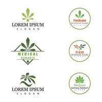 Cannabis marijuana hemp leaf logo and symbol vector