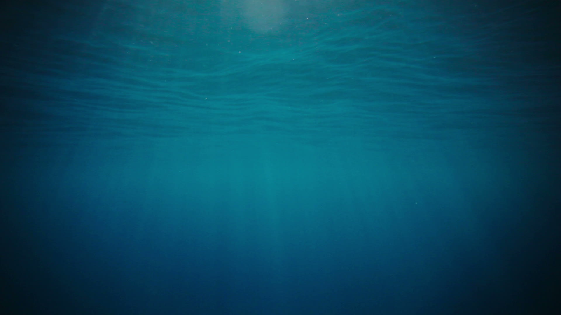 reach-back-to-the-water-surface-4630241-stock-video-at-vecteezy
