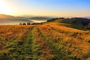 The mountain peaks of the Carpathian hills are filled with golden light in the morning sun.