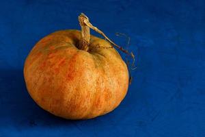 Gran calabaza orgánica madura sobre un fondo de hormigón de color azul clásico. foto