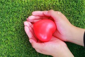 human hands holding red heart on green glass photo