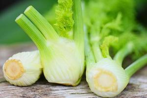 Fennel vegetable from the garden , Fresh raw fennel bulbs ready to cook on food wooden nature green background. photo