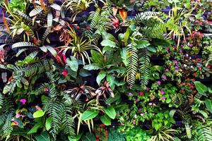 Pared de plantas con exuberantes colores verdes, variedad de plantas, jardín forestal en las paredes, orquídeas, varias hojas de helecho, palmeras y flores de la selva, decorar en el jardín, fondo de la selva. foto
