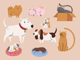 pets dogs and cats vector