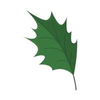 green leaf natural vector