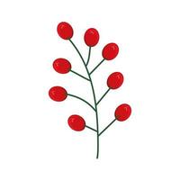 branch berries foliage vector